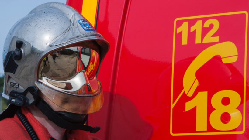 Les sapeurs-pompiers ont utilisé un lasso pour récupérer l’agneau - illustration