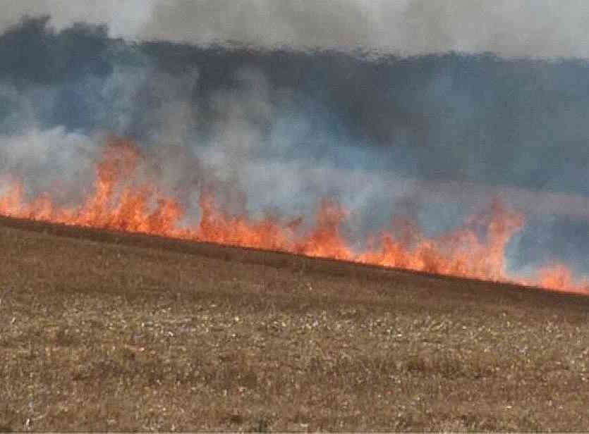 15 hectares de récoltes ont été ravagés par l'incendie ce lundi après-midi - Illustration © infonorrnandie