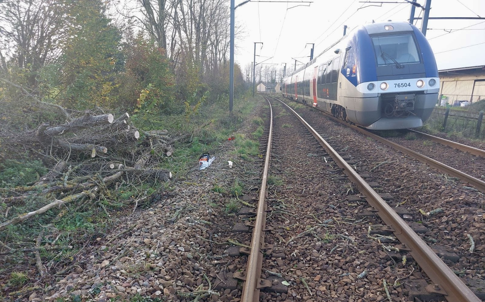 Une quinzaine d’arbres déracinés par la tempête ont été retirés des voies, indique la SNCF sur  son compte X, photos à l’appui