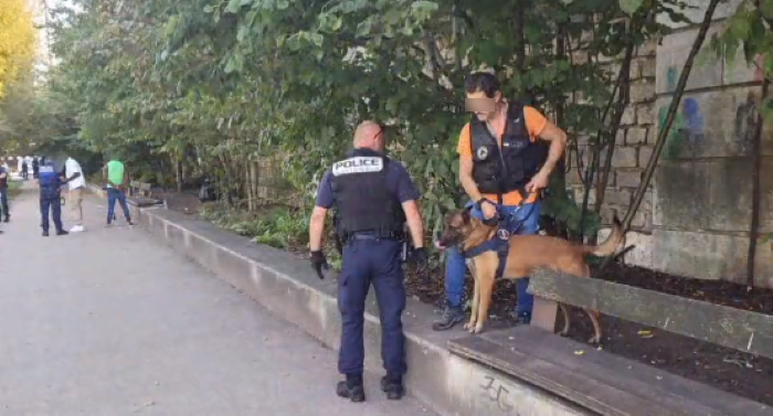 Des opérations de police destinées à lutter contre les points de deal sont organisées régulièrement sur les quais bas de Rouen - illustration DIPN / X