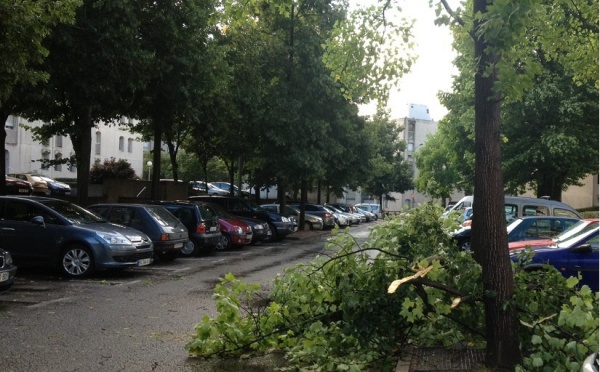 Orages et rafales de vent : 35 000 foyers privés d'électricité en Normandie