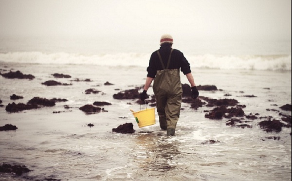 Grandes marées : appel à la prudence sur le littoral de la Manche