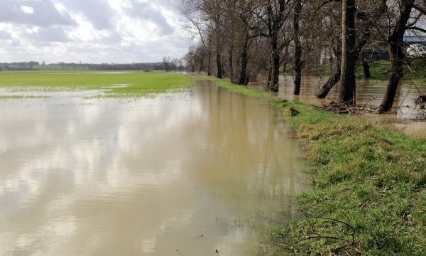 Crue de la Seine : risques de débordements ce week-end dans l'agglomération de Rouen