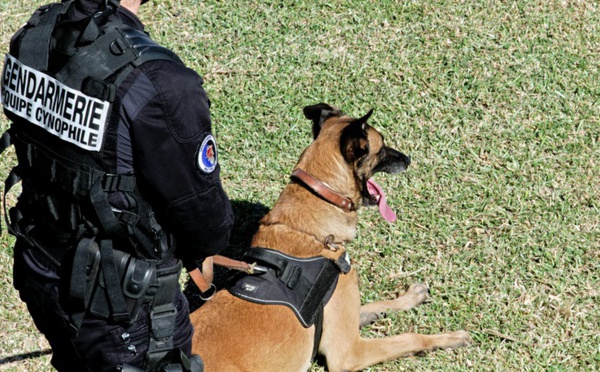 Opération anti-drogue à Bernay : cinq interpellations et saisie de résine de cannabis