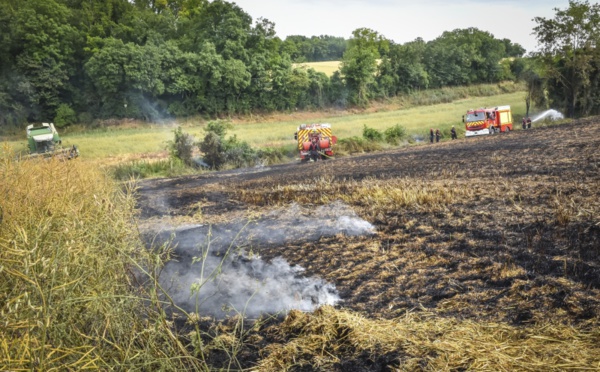 Eure : 81 hectares de récoltes et de sous-bois détruits par des incendies