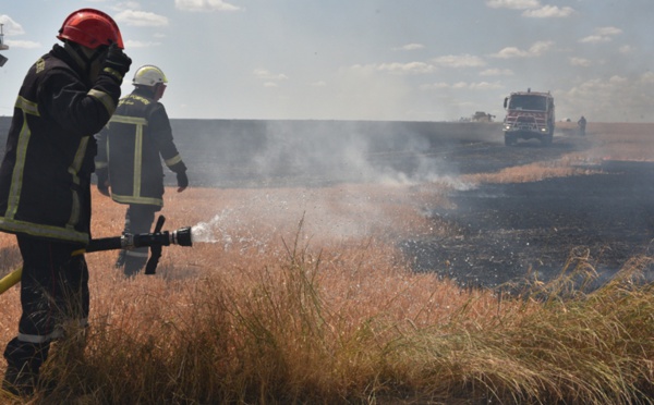 Nouveaux incendies dans l'Eure : 60 pompiers mobilisés ce jeudi après-midi