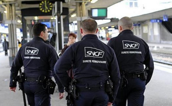 Yvelines : elle abandonne une valise dans le train pour tester la réactivité du plan Vigipirate !