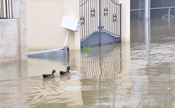 La Seine-Maritime maintenue en vigilance orange : aucun dégât  majeur, selon la préfecture 