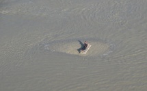 Une personne isolée par la marée hélitreuillée dans la baie du Mont Saint-Michel 