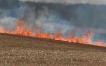 Eure. 15 hectares de récolte sur pied ravagés par le feu à La Chapelle-du-Bois-des-Faulx