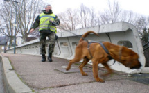 La disparition d'un joggeur de 86 ans près de Dieppe mobilise les gendarmes ce soir