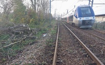 En Normandie, le trafic SNCF reprend ce dimanche après le passage de la tempête Bert 