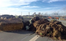 Crise agricole : le détail des axes routiers coupés en Normandie et en Bretagne ce jeudi matin